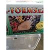 Image 2 : 2 in box terra form rock speakers