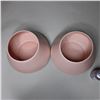 Image 2 : LOT: 2 VASES