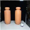 Image 1 : LOT: 2 TERRA COTTA VASES / VASES EN TERRE CUITE