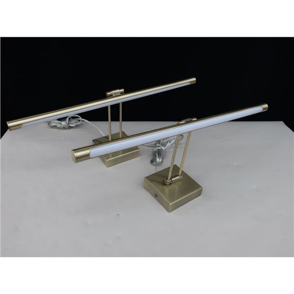 LOT: 2 PAINTING LIGHTS 21"