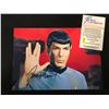 Image 2 : LEONARD NIMOY (SPOCK) SIGNED PHOTO (REAL AUTHENTIC COA)