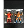 Image 1 : LJN WRESTLING FIGURES LOT (NIKOLAI VOLKOFF/ ANDRE THE GIANT)