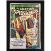 Image 1 : The AMAZING SPIDER-MAN #160 (MARVEL COMICS)
