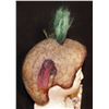 Image 2 : AMERICAN HORROR STORY FREAKSHOW TWISTY THE CLOWN SCALP SCREEN USED IN TRAILER