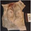 Image 1 : ARMY OF THE DEAD SCREEN USED BLOODY BREASTS WEARABLE CHEST