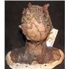 Image 4 : SORORITY OF THE DAMNED WITCH DEMON MUTANT CREATURE FULL HEAD SILICONE MASK ON LIFE CAST