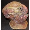 Image 2 : HANK ALIEN CREATURE MUTANT DEMON LIVING HEAD