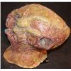 Image 3 : HANK ALIEN CREATURE MUTANT DEMON LIVING HEAD