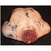 Image 2 : SEVERED BLOODY DRAWN AND QUARTERED TORSO WITH EMPTY CAVITY KEEPER QUALITY GORE