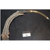 Image 2 : ALIEN VS PREDATOR ANIMATRONIC ALIEN QUEEN TAIL RIG SCREEN USED