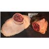 Image 1 : SEVERED SILICONE HEAD WITH STUMP KEEPER QUALITY GORE