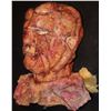 Image 2 : THE TOXIC AVENGER LIKE FULL BUST HEAD THE SPECIAL