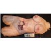 Image 1 : SILICONE ON FOAM IMPALED TORSO WITH BIG BREASTS