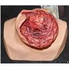Image 1 : RATCHED FATHER MCMURTRY SILICONE TORN OFF HEAD STUMP KEEPER QUALITY GORE