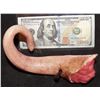 Image 1 : AMERICAN HORROR STORY ROANOKE SCREEN USED SEVERED PIG TAIL E