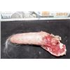 Image 1 : AMERICAN HORROR STORY ROANOKE SCREEN USED SEVERED PIG TAIL J
