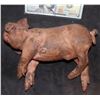Image 1 : AMERICAN HORROR STORY ROANOKE SCREEN USED PIGLET SILICONE 1