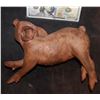 Image 1 : AMERICAN HORROR STORY ROANOKE SCREEN USED PIGLET SILICONE 3