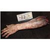 Image 1 : SEVERED ARM POLY FOAM FOR HAUNT OR INDY FILM USE
