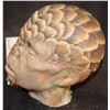 Image 2 : STAR TREK INTO DARKNESS SILICONE SCALY ALIEN FOAM FILLED HEAD