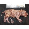 Image 1 : AMERICAN HORROR STORY ROANOKE SCREEN MATCHED HERO DYING PIGLET
