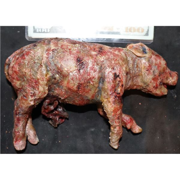 AMERICAN HORROR STORY ROANOKE SCREEN USED DEAD PIGLET SILICONE 2