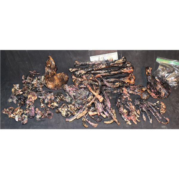 AMERICAN HORROR STORY ROANOKE CANNIBAL ROASTED AND EATEN HUMAN BONES LOT