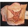 Image 1 : CABIN IN THE WOODS ROTTEN ZOMBIE BELLY WITH ENTRAILS BURSTING OUT SILICONE KEEPER QUALITY GORE