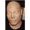 Image 1 : SEVERED HEAD WITH PLAGUE SORES BOILS SILICONE