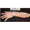 Image 1 : SEVERED SILICONE ARM FOR HAUNT OF INDY FILM 3