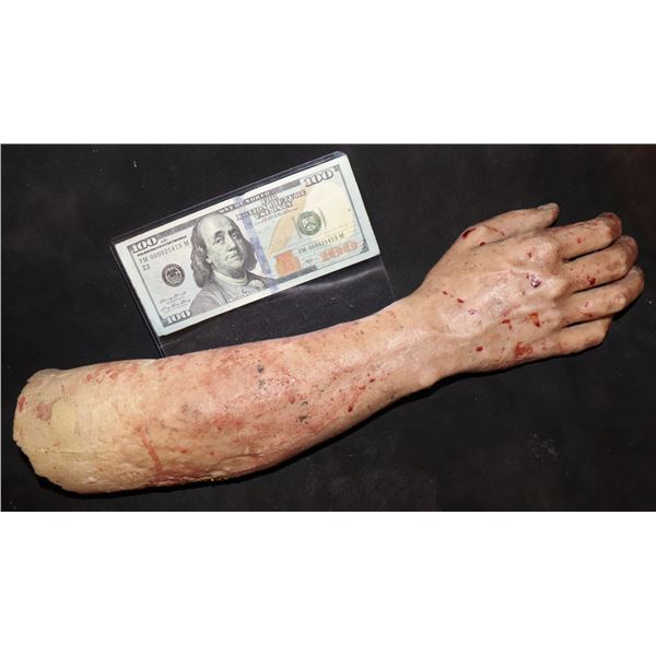 SEVERED SILICONE ARM FOR HAUNT OF INDY FILM 5