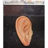 Image 1 : AMERICAN HORROR STORY FREAK SHOW PEPPER EAR