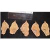 Image 1 : STAR TREK INTO DARKNESS SILICONE LOT OF ALIEN EARS