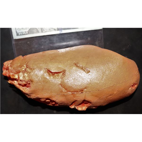 DAWN OF THE DEAD TORN OFF ZOMBIE ARM APPLIANCE SCREEN USED