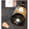 Image 2 : MEET WALLY SPARKS F/X CHAMPAGNE BOTTLE THAT BLOWS CORK OFF 1