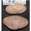 Image 2 : POTATO PROPS 1 HERO RUBBER AND 1 STUNT FOAM
