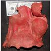 Image 1 : BLADE EXPLODED DEACON FROST SCREEN USED PIECE D