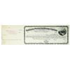 Image 1 : Syndicate Protector Milling Co. 1880s Specimen Stock Certificate