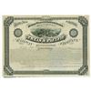Image 1 : Texas & Pacific Railway Co. Eastern Division 1875 Specimen Bond Rarity