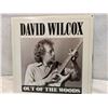 Image 1 : David Wilcox