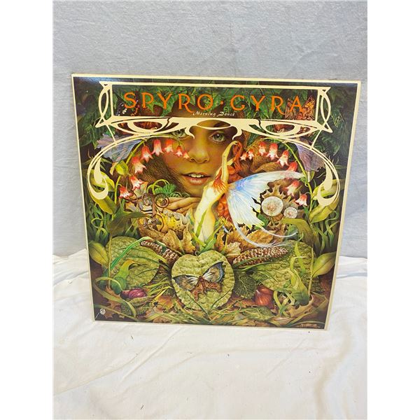 Spyro gyra