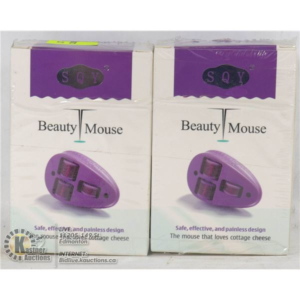 LOT OF 2 SQY BEAUTY MOUSE
