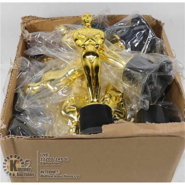 BOX OF 24 AWARD TROPHIES