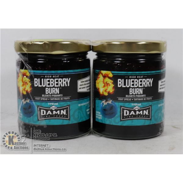 LOT OF 2 BLUEBERRY BURN FRUIT SPREAD 190ML EA