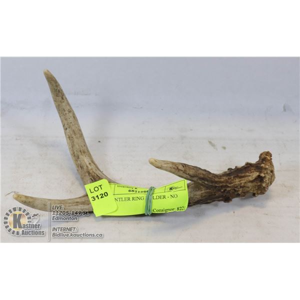 DEER ANTLER RING HOLDER - NO RINGS