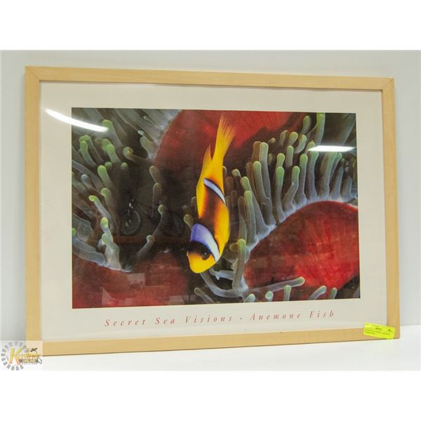 SECRET SEA VISIONS- ANEMONE FRAMED FISH