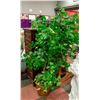 Image 1 : 5 FT ARTIFICIAL PLANT IN WICKER BASKET