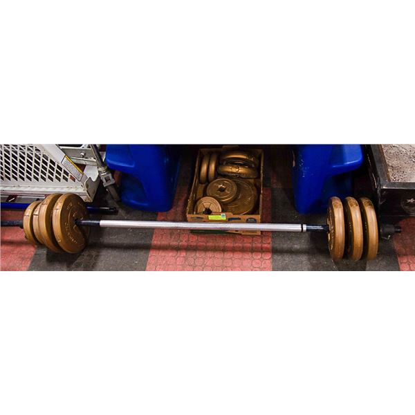 POLY COATED WEIGHTS & BARBELL- 10 LB (6),