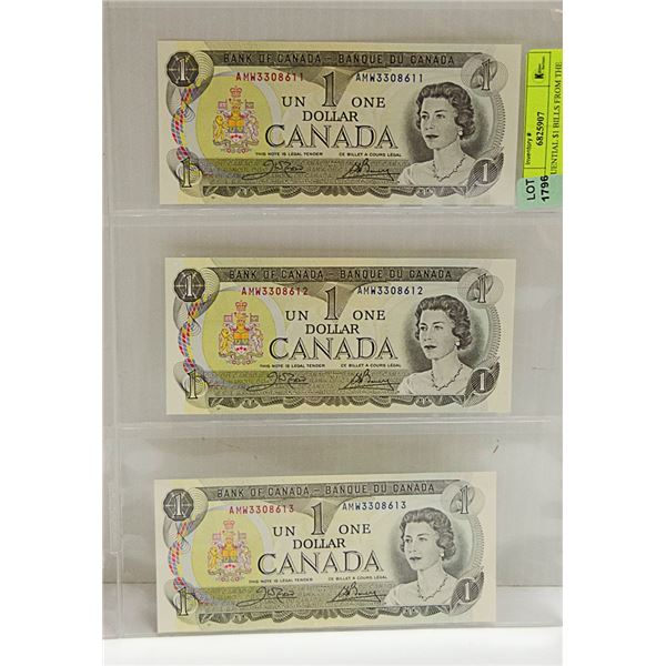 3 SEQUENTIAL $1 BILLS FROM THE MINT