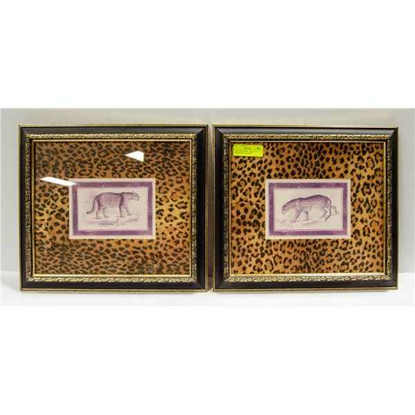 2 LARGE CAT PRINT, 16" X 14", PROFESSIONAL FRAME